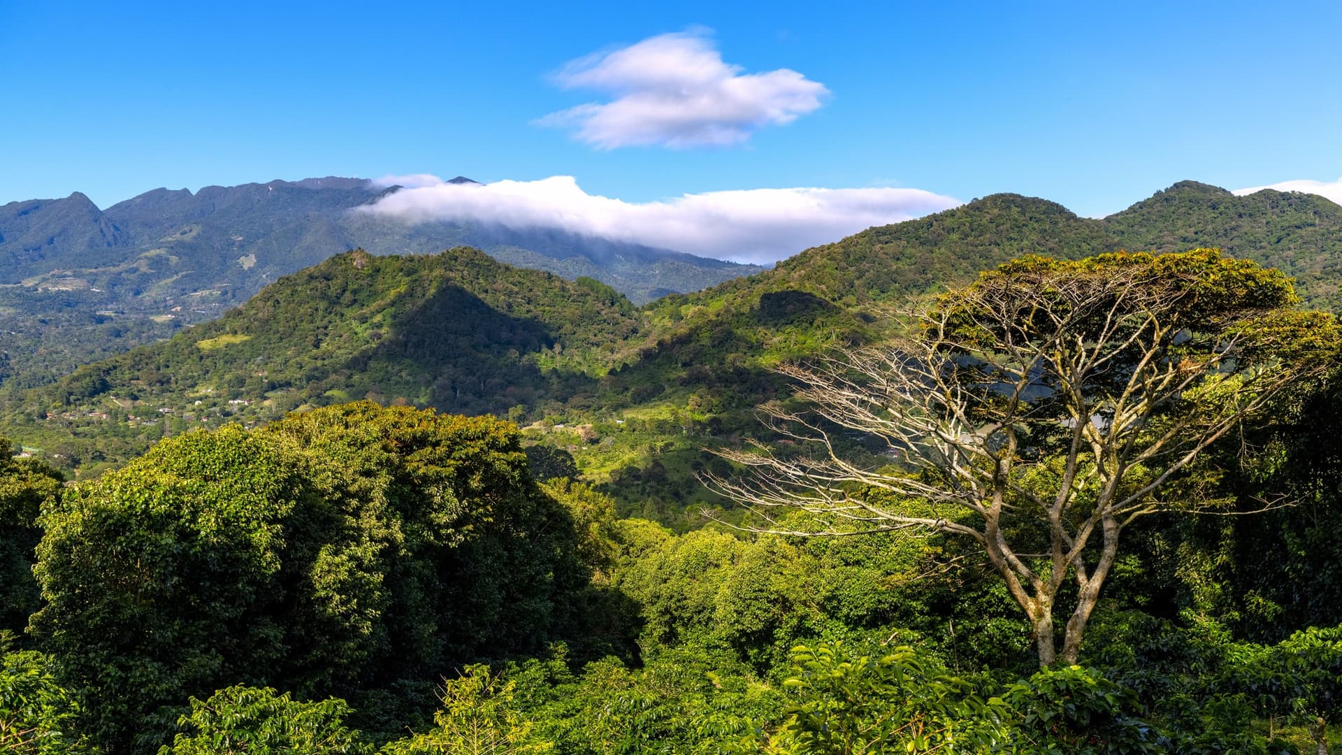 Chiriquí y Boquete